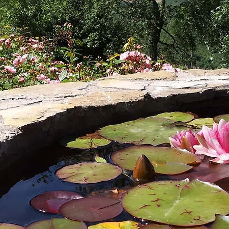 B&B Fattoria Poggerino
