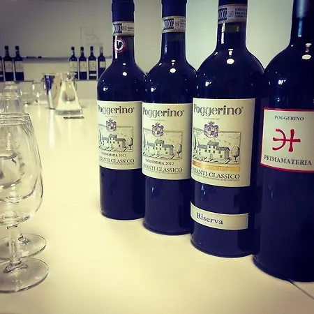 Fattoria Poggerino 라다인키안티