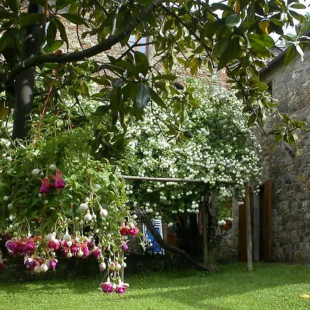 Fattoria Poggerino B&B 4*