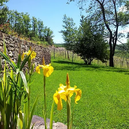 Fattoria Poggerino 4* 라다인키안티