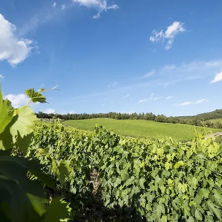 Fattoria Poggerino B&B 4*