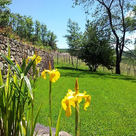 B&B Fattoria Poggerino 4*
