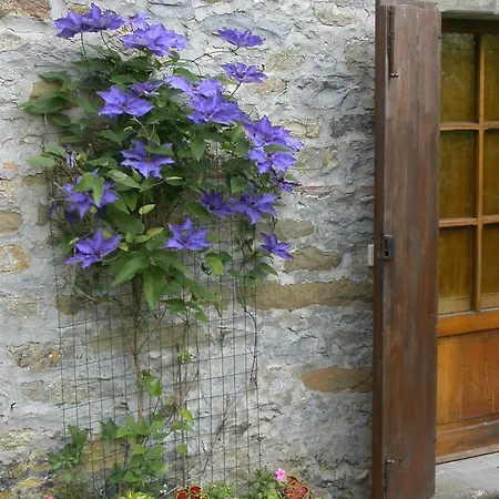 B&B Fattoria Poggerino